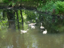 Filename=MiniLake3.jpg
Filesize=1016KiB
Dimensions=2000x1500
Date added=May 30, 2025 MiniLake3.jpg