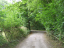 Filename=SV200134.JPG
Filesize=556KiB
Dimensions=800x600
Date added=May 30, 2025 SV200134.JPG