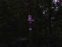 Filename=SV200138.JPG
Filesize=426KiB
Dimensions=800x600
Date added=May 30, 2025 SV200138.JPG
