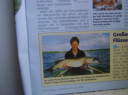 SV200846.JPG