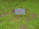 Filename=SV200861.JPG
Filesize=1011KiB
Dimensions=1067x800
Date added=May 30, 2025 SV200861.JPG