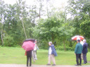 Filename=SV200862.JPG
Filesize=739KiB
Dimensions=1067x800
Date added=May 30, 2025 SV200862.JPG