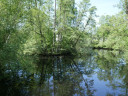 Filename=normal_MiniLake1~0.jpg
Filesize=208KiB
Dimensions=800x600
Date added=May 30, 2025 normal_MiniLake1~0.jpg
