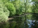 Filename=normal_MiniLake2~0.jpg
Filesize=214KiB
Dimensions=800x600
Date added=May 30, 2025 normal_MiniLake2~0.jpg