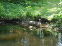 Filename=normal_MiniLake4~0.jpg
Filesize=187KiB
Dimensions=800x600
Date added=May 30, 2025 normal_MiniLake4~0.jpg