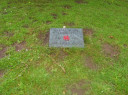 Filename=normal_SV200861.JPG
Filesize=204KiB
Dimensions=799x599
Date added=May 30, 2025 normal_SV200861.JPG