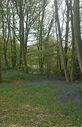 Filename=thumb_Bluebells2021~0.jpg
Filesize=3KiB
Dimensions=82x127
Date added=May 30, 2025 thumb_Bluebells2021~0.jpg