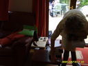 Filename=thumb_SV200108~0.JPG
Filesize=48KiB
Dimensions=128x96
Date added=May 30, 2025 thumb_SV200108~0.JPG