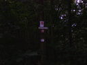 Filename=thumb_SV200138~0.JPG
Filesize=46KiB
Dimensions=128x96
Date added=May 30, 2025 thumb_SV200138~0.JPG