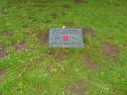 Filename=thumb_SV200861~0.JPG
Filesize=48KiB
Dimensions=127x95
Date added=May 30, 2025 thumb_SV200861~0.JPG
