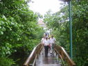 Filename=thumb_SV200872~0.JPG
Filesize=49KiB
Dimensions=127x95
Date added=May 30, 2025 thumb_SV200872~0.JPG