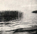 Filename=Lake_Scene.jpg
Filesize=81KiB
Dimensions=715x661
Date added=Mar 24, 2025 Lake_Scene.jpg