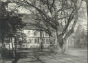Filename=normal_Side_View_of_Fleming.jpg
Filesize=136KiB
Dimensions=800x578
Date added=Mar 23, 2025 normal_Side_View_of_Fleming.jpg